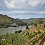 Quinta De La Rosa *