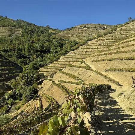Quinta De La Rosa Farma Pinhão