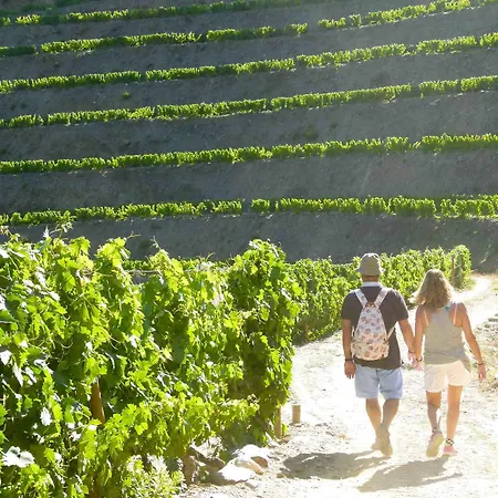 Farmház Quinta De La Rosa *