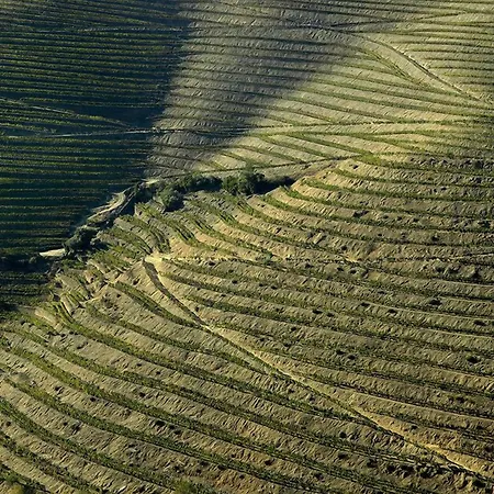 Farmház Quinta De La Rosa Pinhão