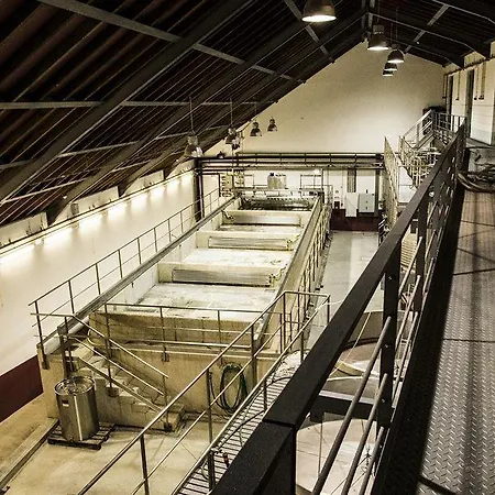 Farmház Quinta De La Rosa *