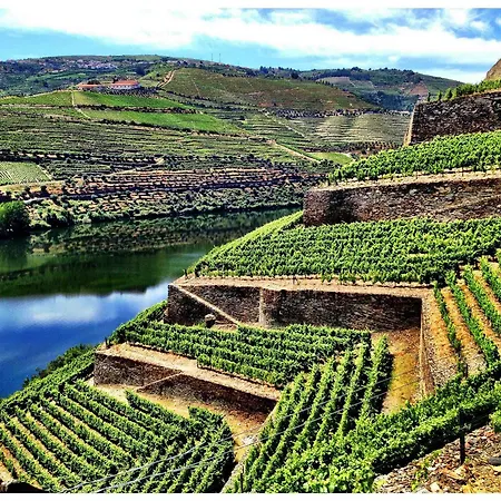 Lantgård Quinta De La Rosa