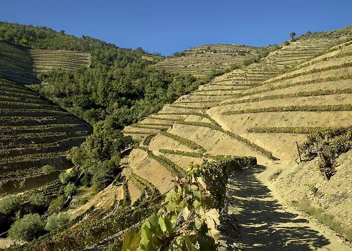 Quinta De La Rosa Lantgård Pinhão