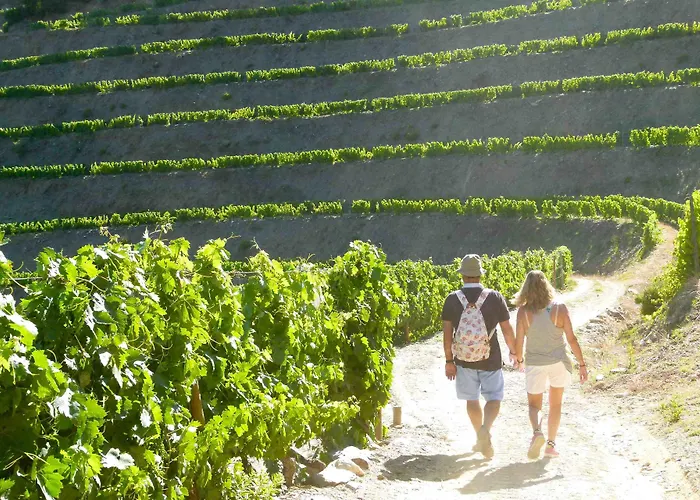 Lantgård Quinta De La Rosa *