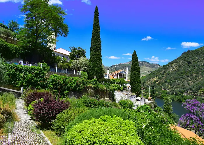 בית חווה Quinta De La Rosa Pinhão