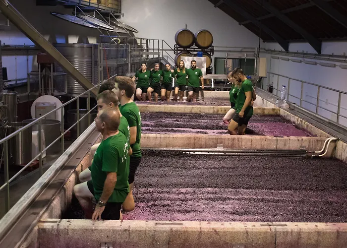 Quinta De La Rosa בית חווה *