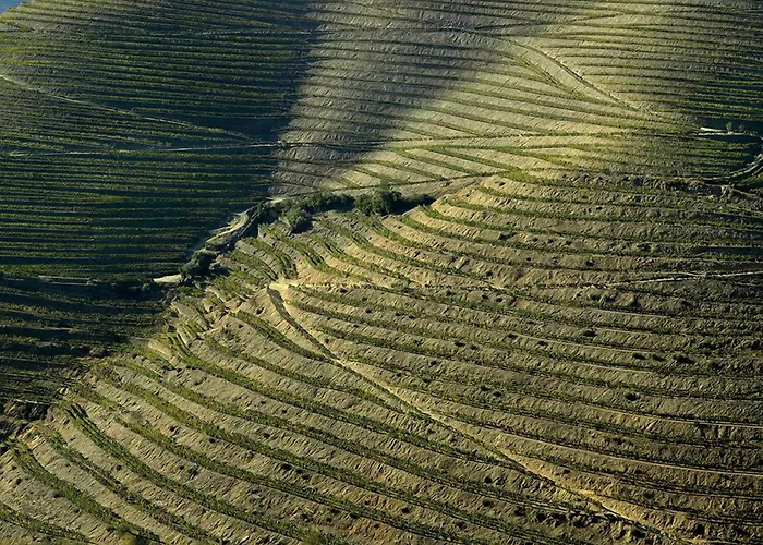 Lantgård Quinta De La Rosa Pinhão